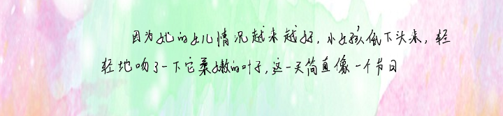 image-20220219151348496